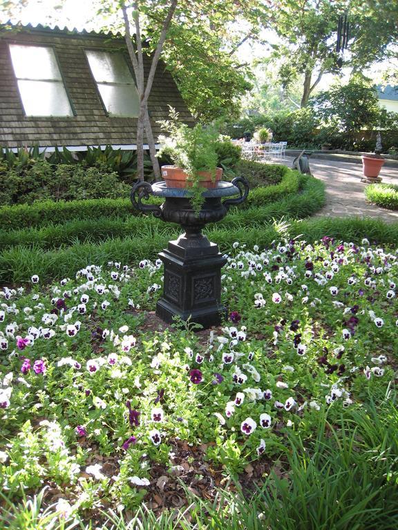 Belle Oaks Inn Gonzales Exterior foto